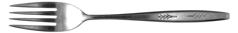 EKS21 (STAINLESS) Fork
