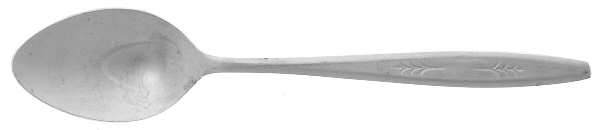 EKS21 (STAINLESS) Teaspoon