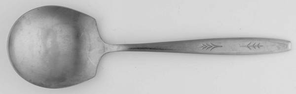 EKS21 (STAINLESS) Solid Smooth Casserole Spoon
