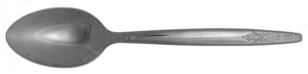 EKS3 (STAINLESS) Teaspoon