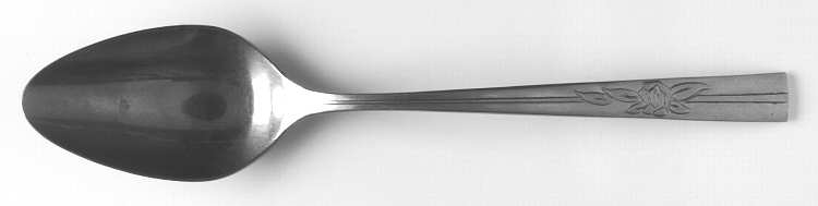 Endowment (Stainless) Place/Oval Soup Spoon