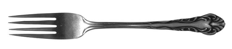 Lady Astor (Stainless) Fork by Ekco Silver