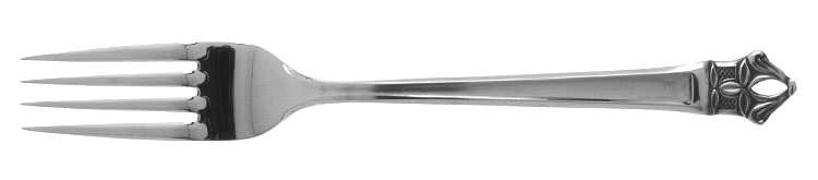 Padua (Stainless) Fork
