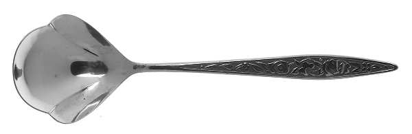 Santiago (Stainless) Sugar Shell Spoon