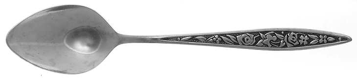 Santiago (Stainless) Teaspoon