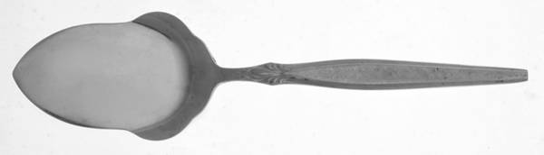 Peeress (Stainless) Solid Pastry Server