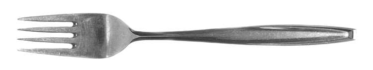 ELD6 (STAINLESS) Fork