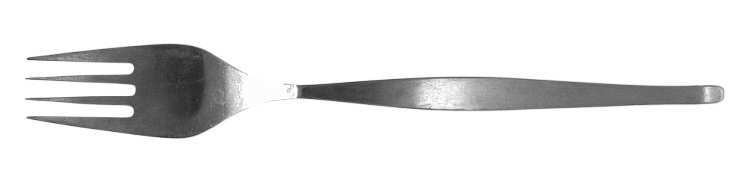ELD8 (STAINLESS) Fork