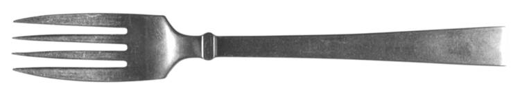 ENS3 (STAINLESS) Fork