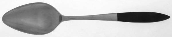 EPS1 (STAINLESS) Teaspoon