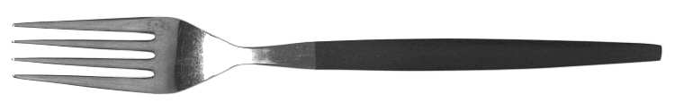 EPS10 (STAINLESS) Fork