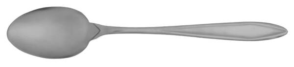 EPS7 (STAINLESS) Teaspoon Large Solid HC