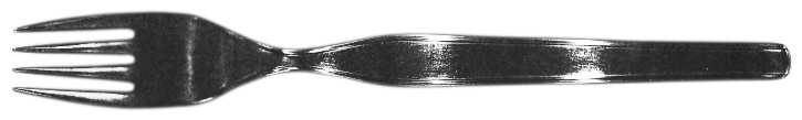 ESM1 (STAINLESS) Fork
