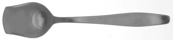 ESM2 (STAINLESS) Sugar Spoon