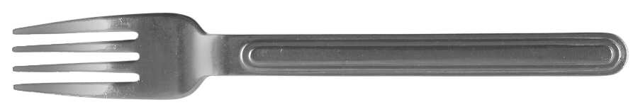 ESN1 (STAINLESS) Fork