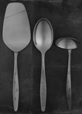 Floret (Stainless) 3 Piece Completer Set