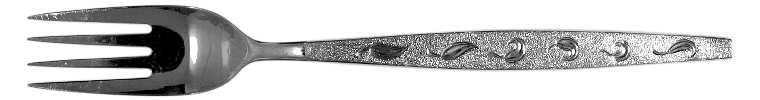 EVS13 (Stainless) Fork
