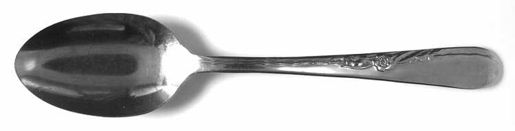 EVS17 (STAINLESS) Teaspoon