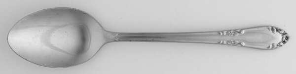 EVS4 (STAINLESS) Teaspoon