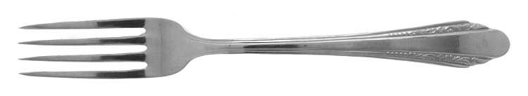 EVS5 (STAINLESS) Fork