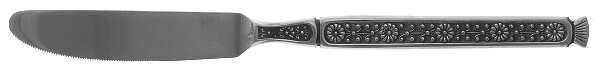 EVS6 (STAINLESS) New French Solid Knife by Everbrite Stainless