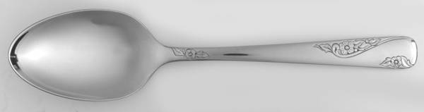 Favorite (Stainless) Tablespoon (Serving Spoon) by Everbrite Stainless