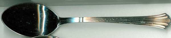 EXF5 (STAINLESS) Tablespoon (Serving Spoon)