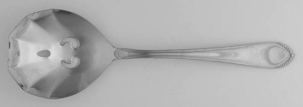 EXF6 (STAINLESS) Solid Pierced Casserole Spoon