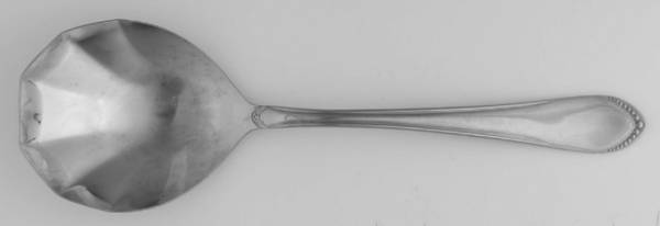 EXF6 (STAINLESS) Solid Smooth Casserole Spoon