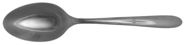 EVR1 (Stainless, USA) Tablespoon (Serving Spoon)