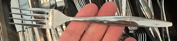 Atomic Starburst (Stainless) Fork