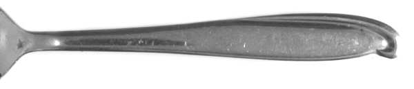 EVS22 (Stainless) Teaspoon