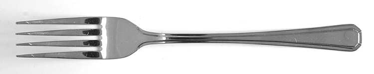Newport (Stainless) Fork