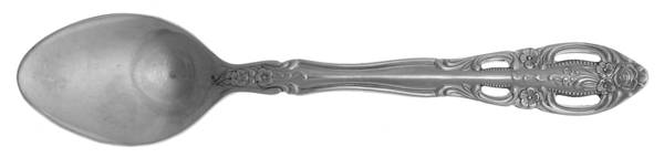 EVS28 (Stainless) Teaspoon