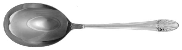 Aural (Stainless) Solid Smooth Casserole Spoon