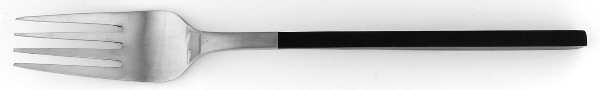 EKS50 (Stainless) Fork