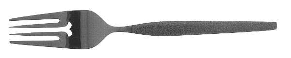 Equator (Stainless) Individual Salad Fork