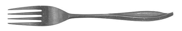 EPS17 (STAINLESS) Fork