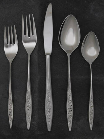 EVS36 (STAINLESS) 5 Piece Place Setting by Everbrite Stainless