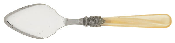 Napoleon-Pearl Honey (Stainless) Cheese Server with Stainless Blade