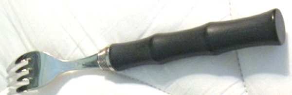 Acqua-Burnt Earth (Stainless) Individual Salad Fork