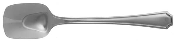 ETU5 (Stainless) Ice Cream Spoon Individual