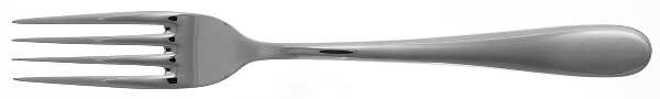 ENI1 (Stainless) Individual Salad Fork