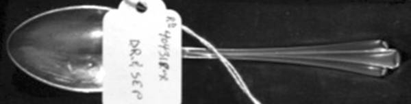 EHS6 (Silverplate) Tablespoon (Serving Spoon)