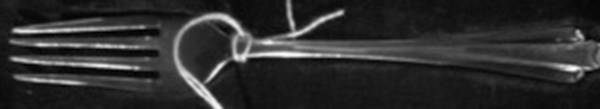 EHS6 (Silverplate) Fork