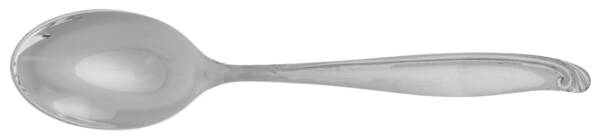 EVS41 (Stainless) Teaspoon