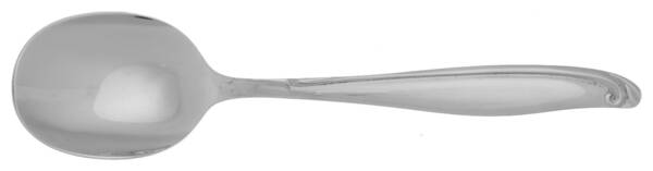 EVS41 (Stainless) Sugar Spoon