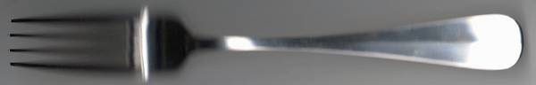 ESG10 (Stainless) Fork