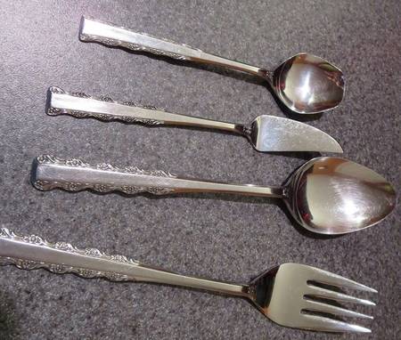 EKS54 (Stainless) Sugar Spoon