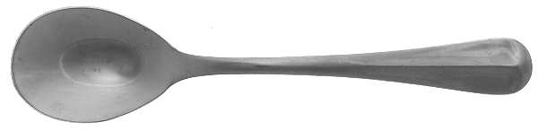 Brookfield (Stainless) Sugar Spoon